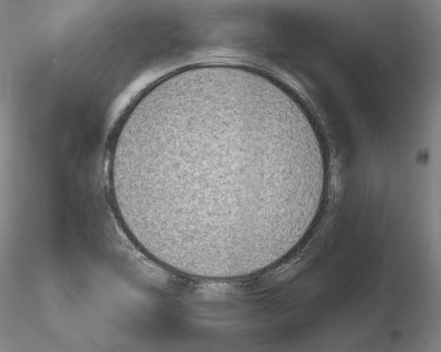 X0000114991462200912071106