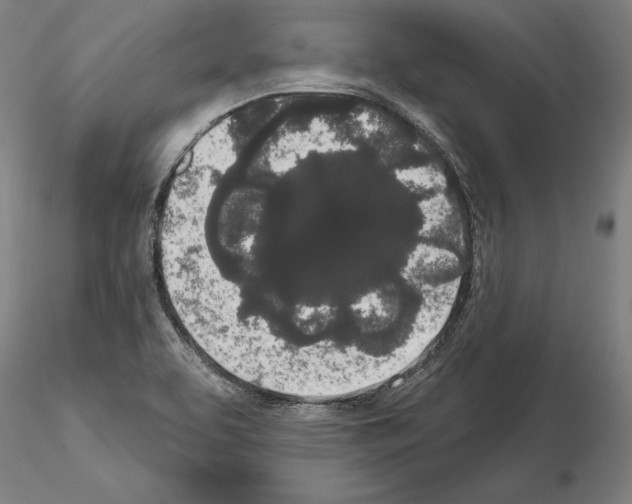 X0000114991463200912071106