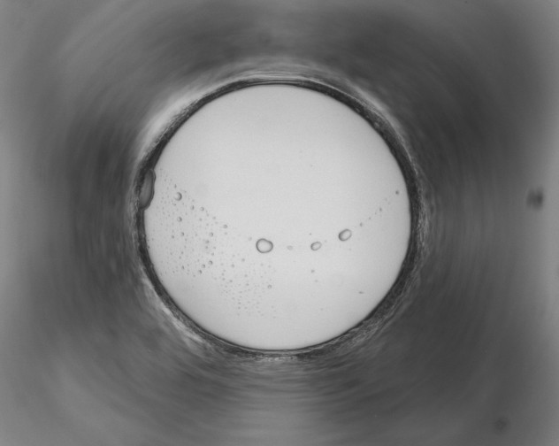 X0000114991464200912071106