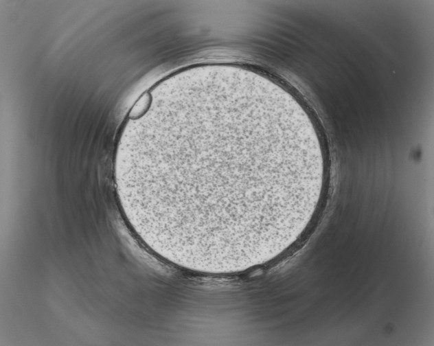 X0000114991465200912071106