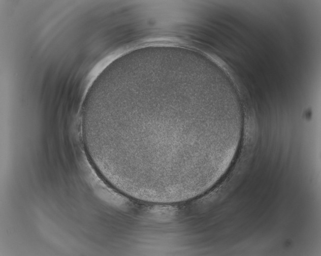 X0000114991466200912071106