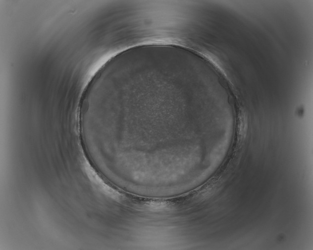 X0000114991468200912071106