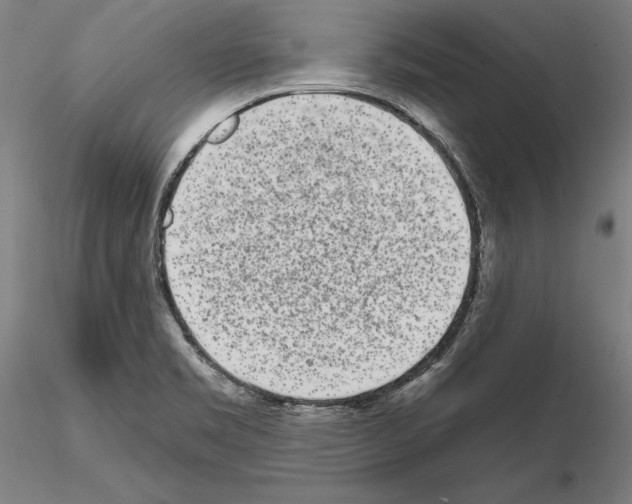 X0000114991469200912071106