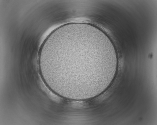 X0000114991470200912071106