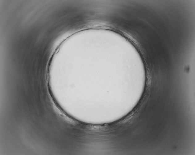 X0000114991471200912071106