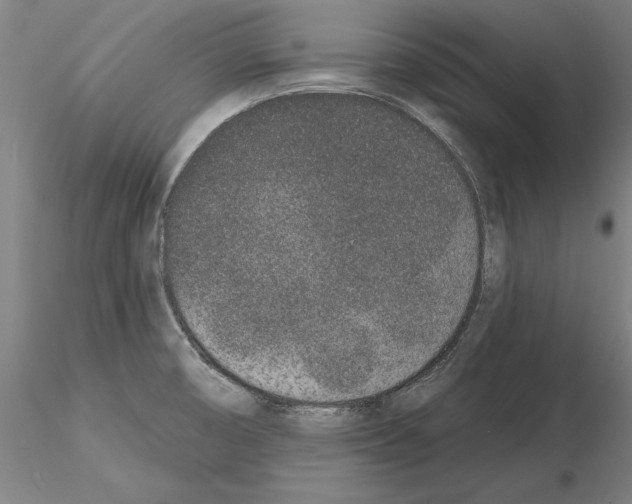 X0000114991474200912071106