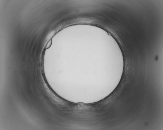 X0000114991475200912071106