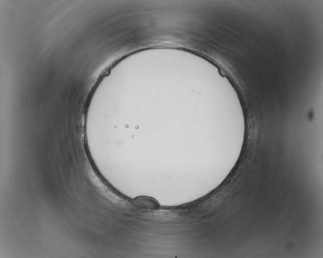 X0000114991476200912071106