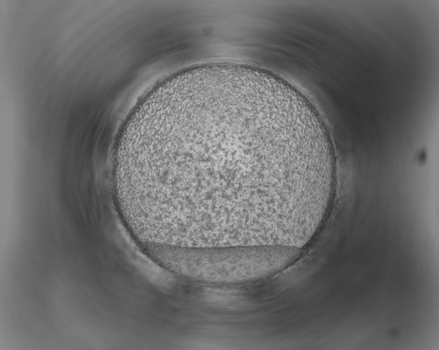 X0000114991477200912071106