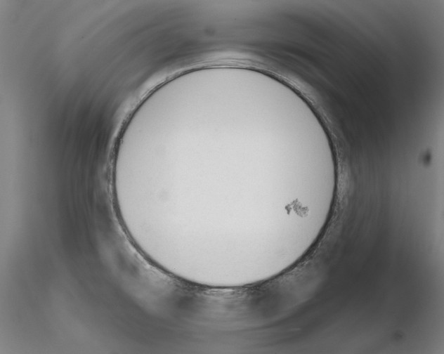 X0000114991478200912071106