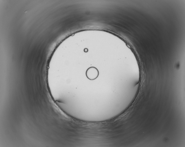 X0000114991480200912071106