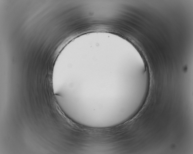 X0000114991481200912071106