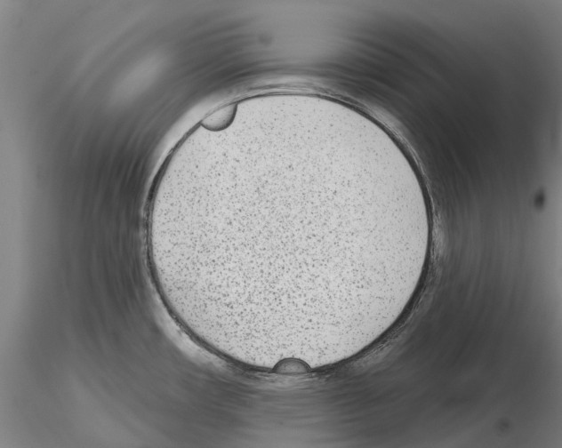 X0000114991482200912071106