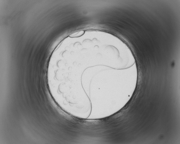 X0000114991483200912071106