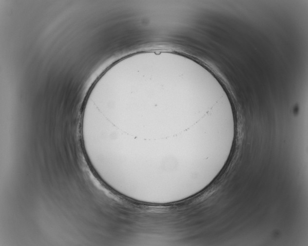 X0000114991484200912071106