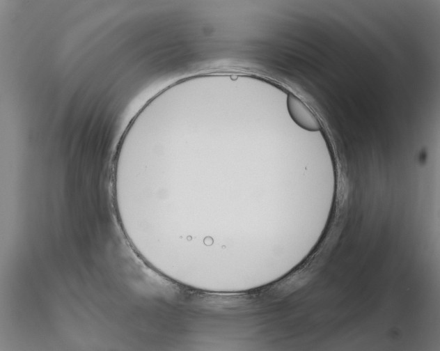 X0000114991486200912071106