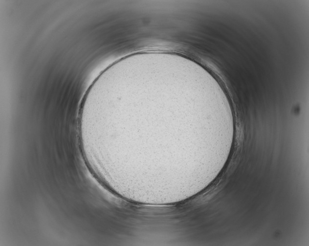 X0000114991487200912071106