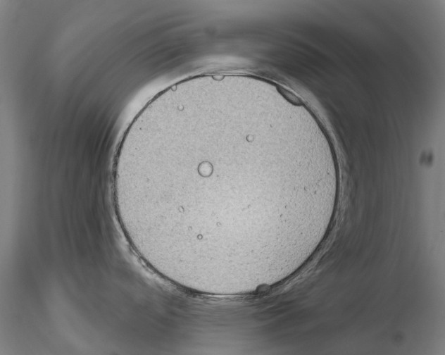 X0000114991488200912071106