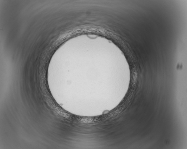 X0000114991489200912071105