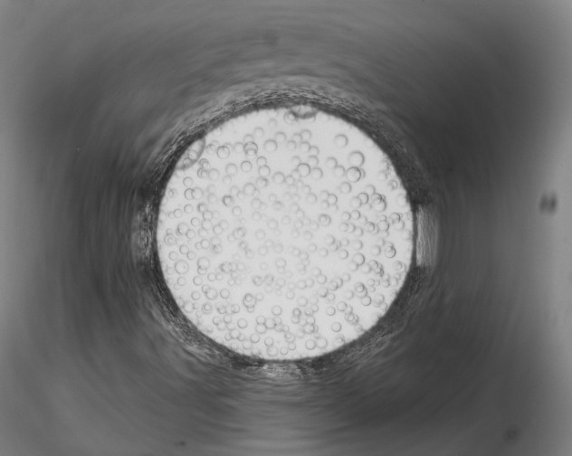 X0000114991491200912071105