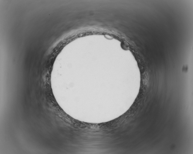 X0000114991495200912071105