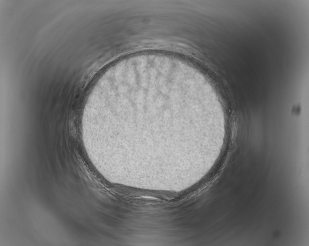 X0000114991497200912071105