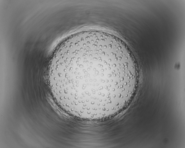 X0000114991499200912071105