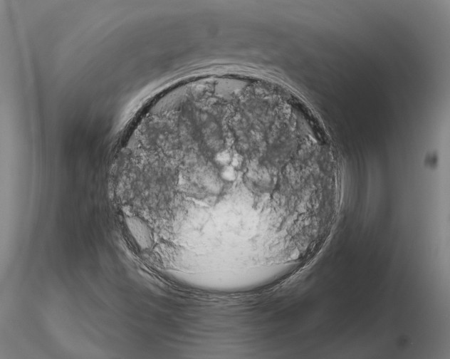 X0000114991501200912071105