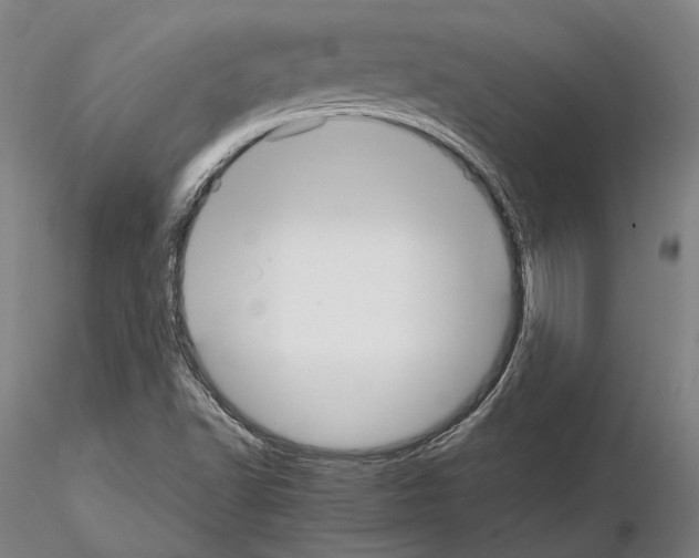 X0000114991502200912071105