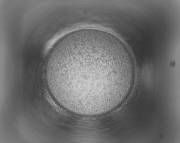 X0000114991503200912071105