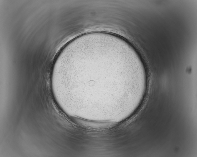 X0000114991505200912071105