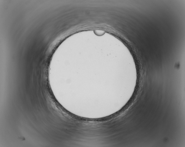 X0000114991506200912071105