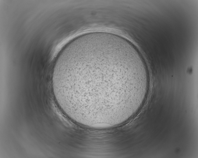 X0000114991507200912071105