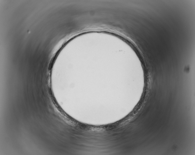 X0000114991509200912071105