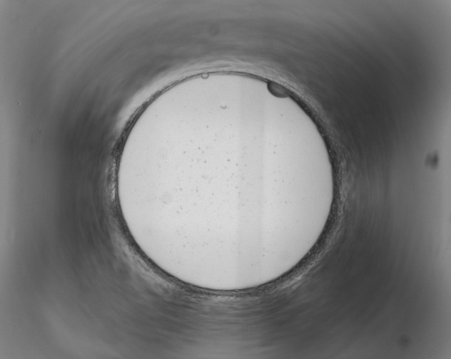 X0000114991510200912071105