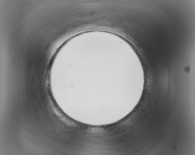 X0000114991511200912071105