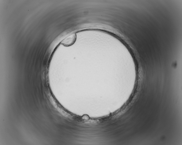 X0000114991513200912071105