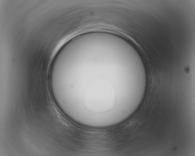 X0000114991514200912071105