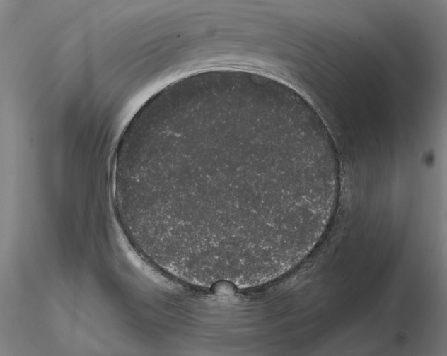 X0000114991515200912071105