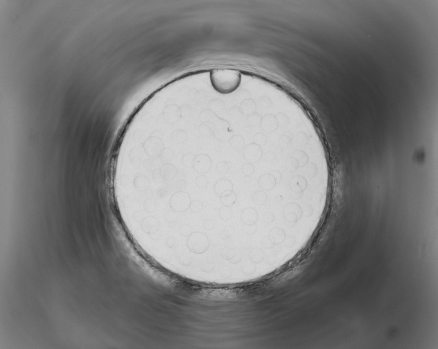 X0000114991517200912071105