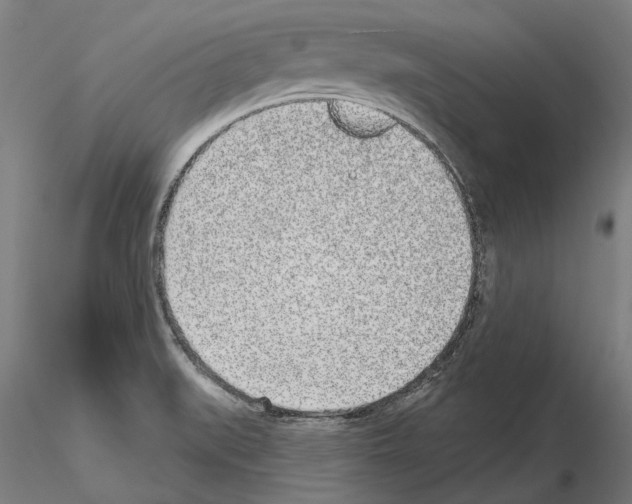 X0000114991519200912071105