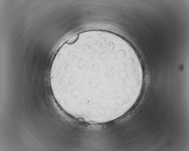 X0000114991521200912071106