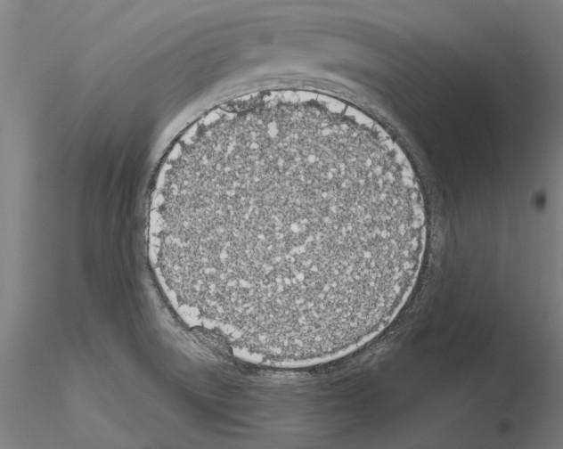 X0000114991522200912071106