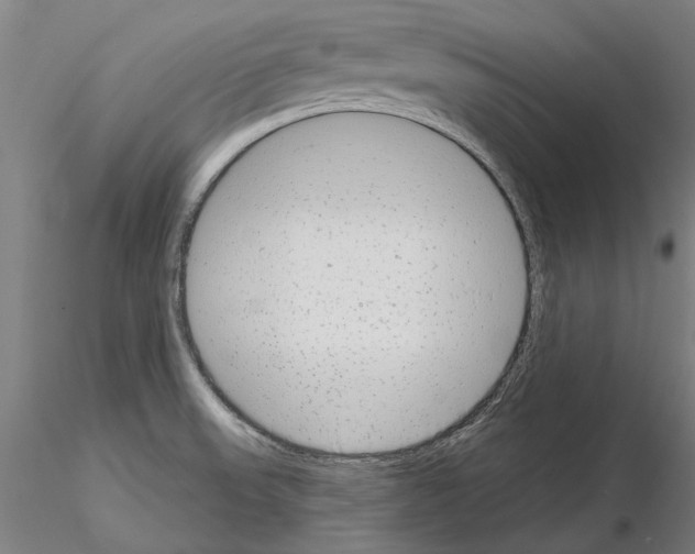 X0000114991523200912071106