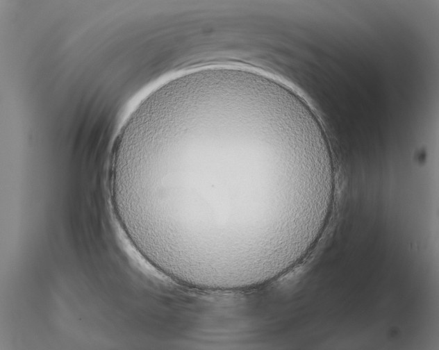 X0000114991526200912071106