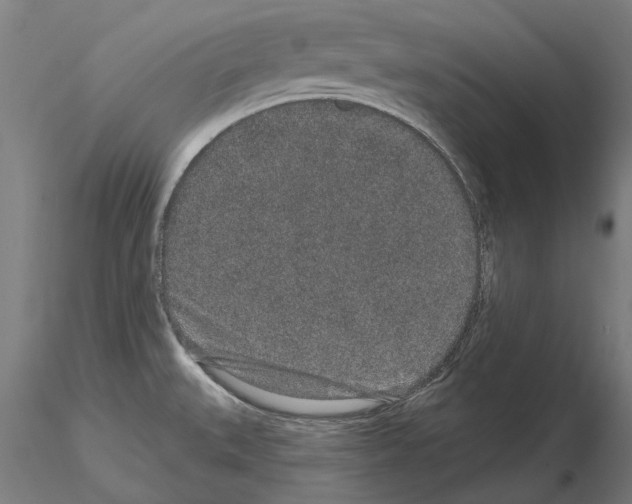 X0000114991527200912071106