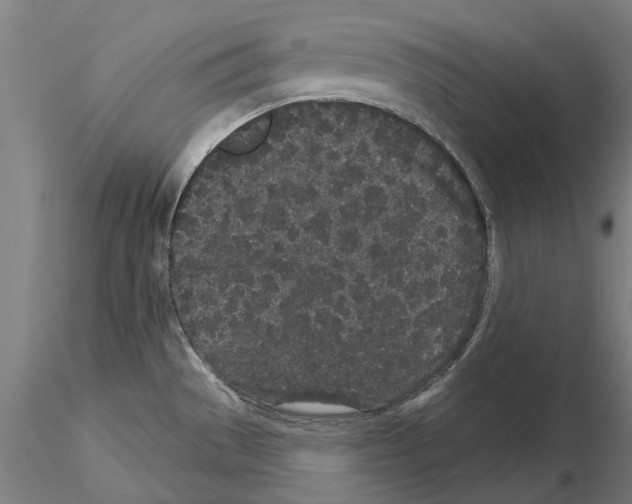 X0000114991529200912071106