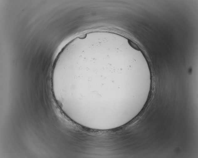 X0000114991530200912071106