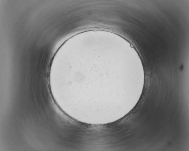 X0000114991531200912071106