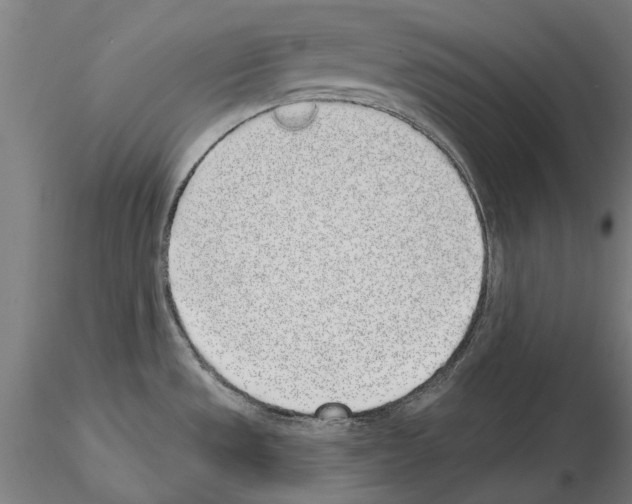 X0000114991533200912071106